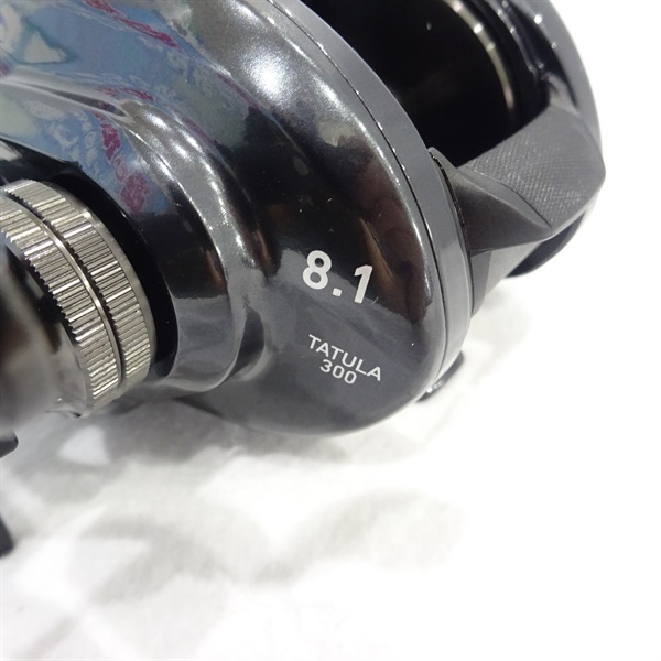 ２１タトゥーラＴＷ３００ＸＨＬ